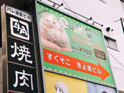 准备好钱包逛心斋桥，带你吃日本最正宗的章鱼小丸子