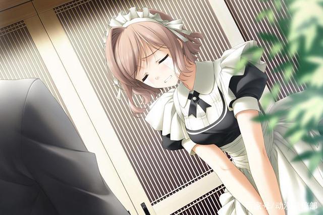 家务不会，料理不行，为什么你还被开除？动漫中那些女仆角色！