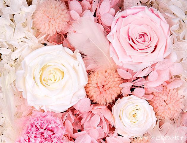 致爱情情歌演唱会2020成都站，遇见爱情即刻出发！