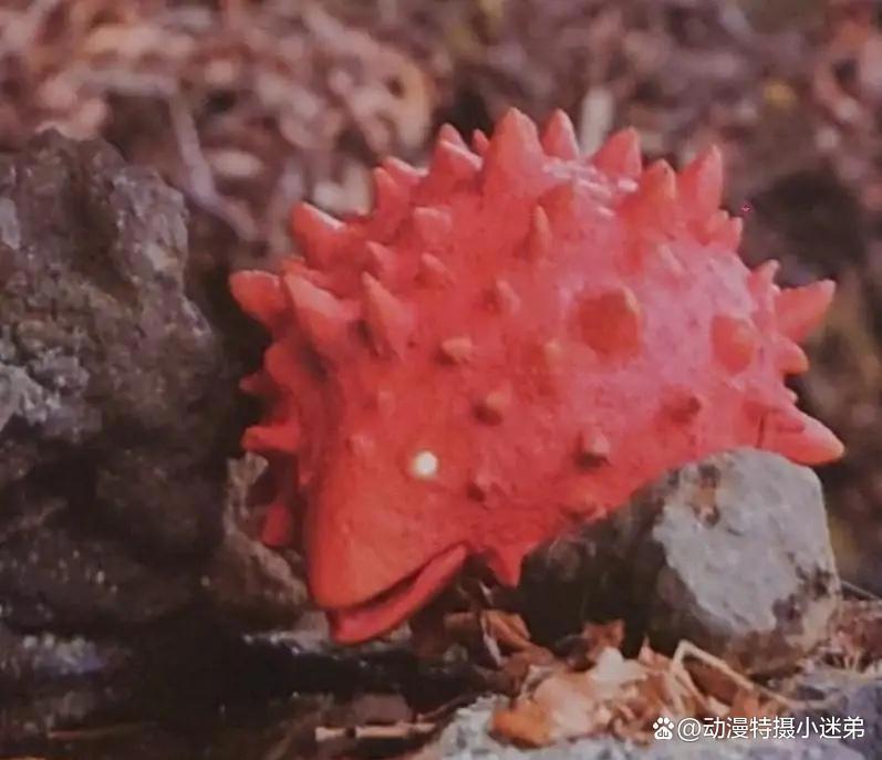 《德凯奥特曼》又新增怪兽幼崽，萌萌的很可爱，看起来没有破坏力