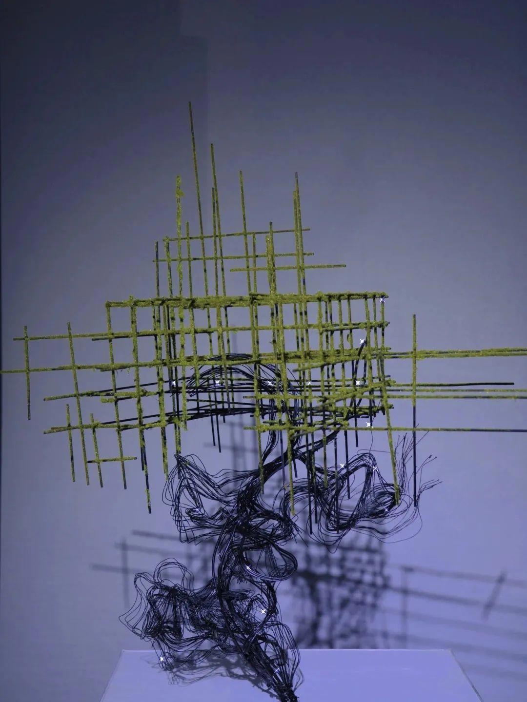 2021年末，打卡50场最顶配艺术展览