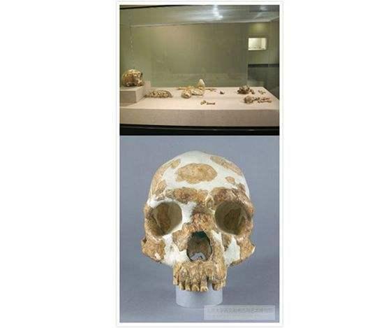 走进北京校园寻访大学里的博物馆