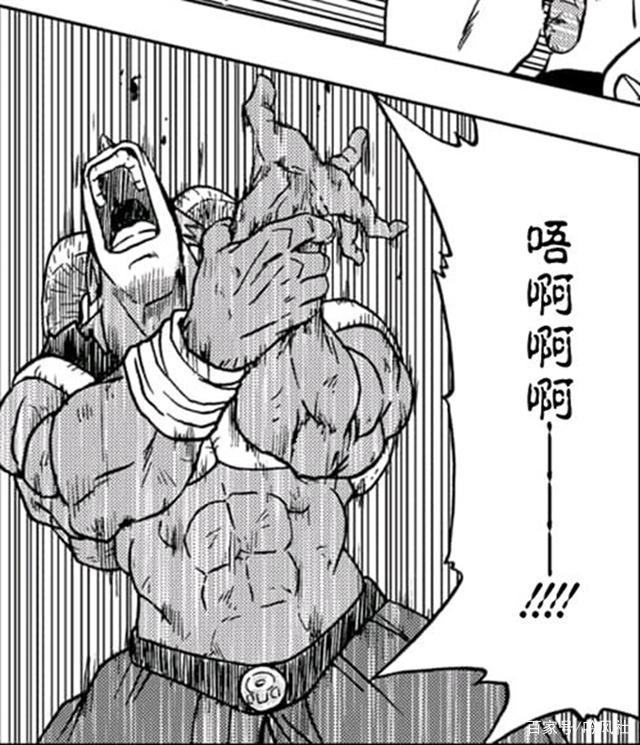 七龙珠反派之生存手册