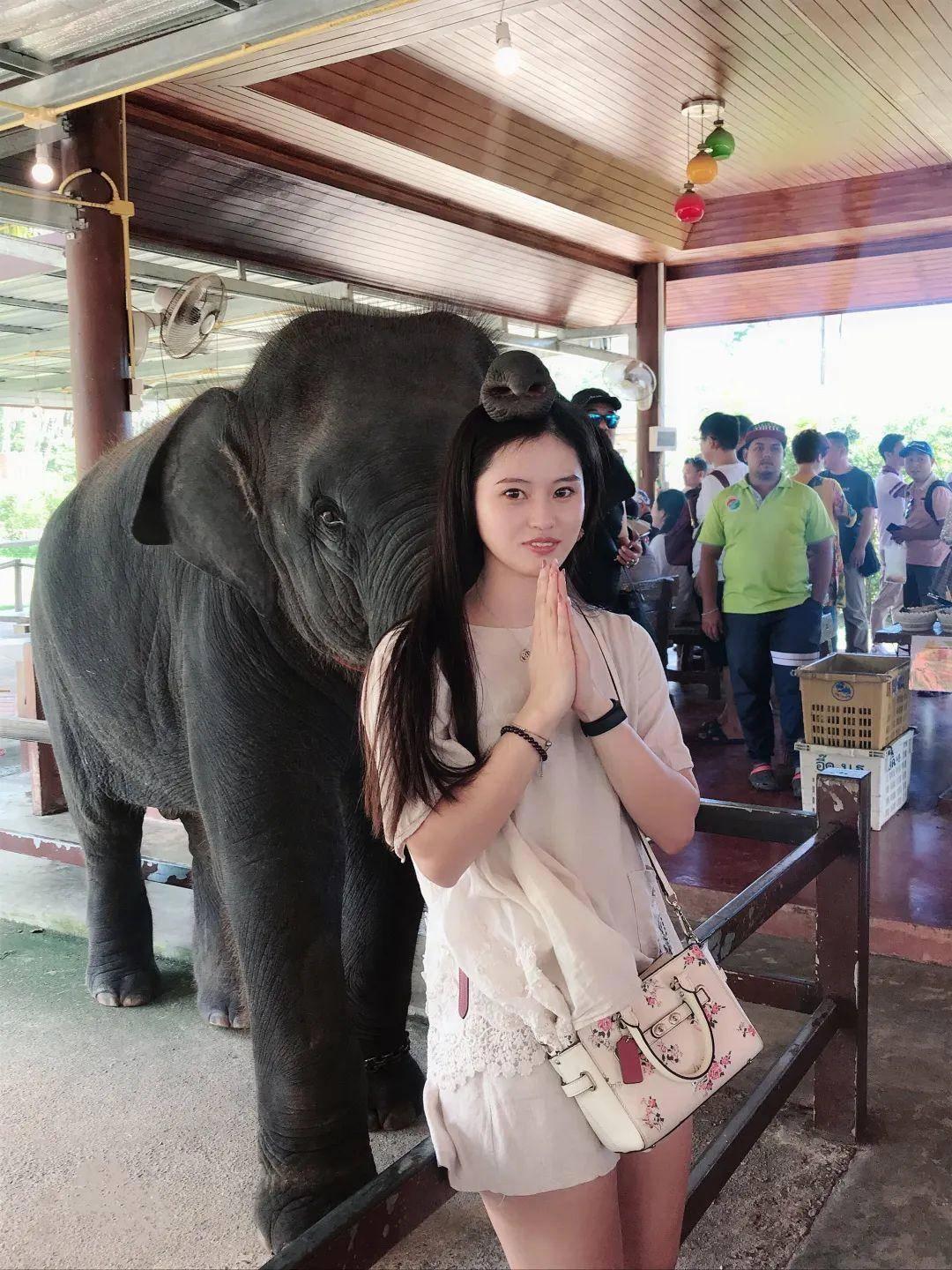 江苏好高职·特色专业组｜南京信息职业技术学院数码艺术学院：创艺术新时代以科技赢未来