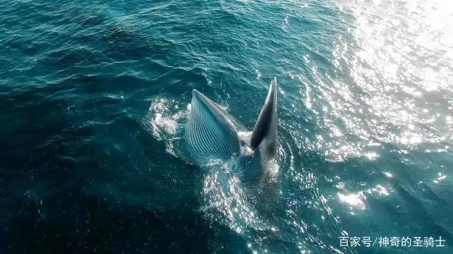 2020年超过9分的电影作品