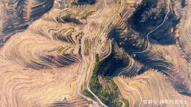 2020年超过9分的电影作品