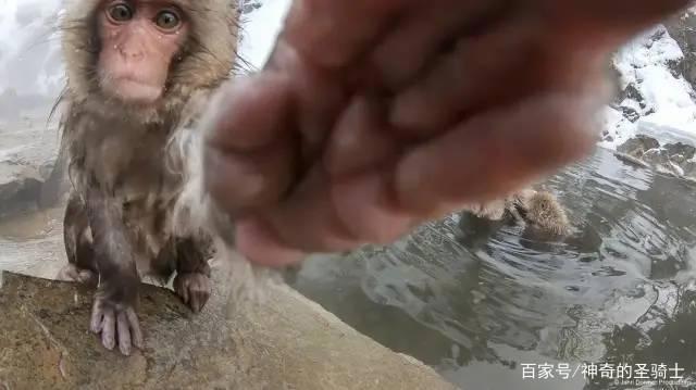 2020年超过9分的电影作品