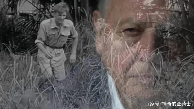 2020年超过9分的电影作品