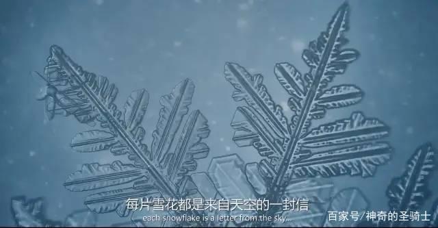 2020年超过9分的电影作品