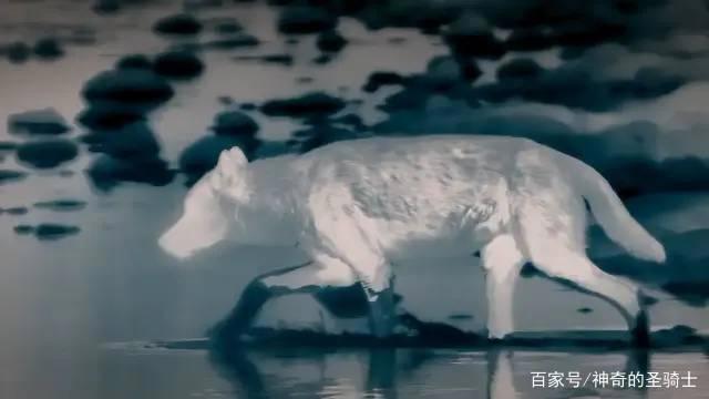 2020年超过9分的电影作品