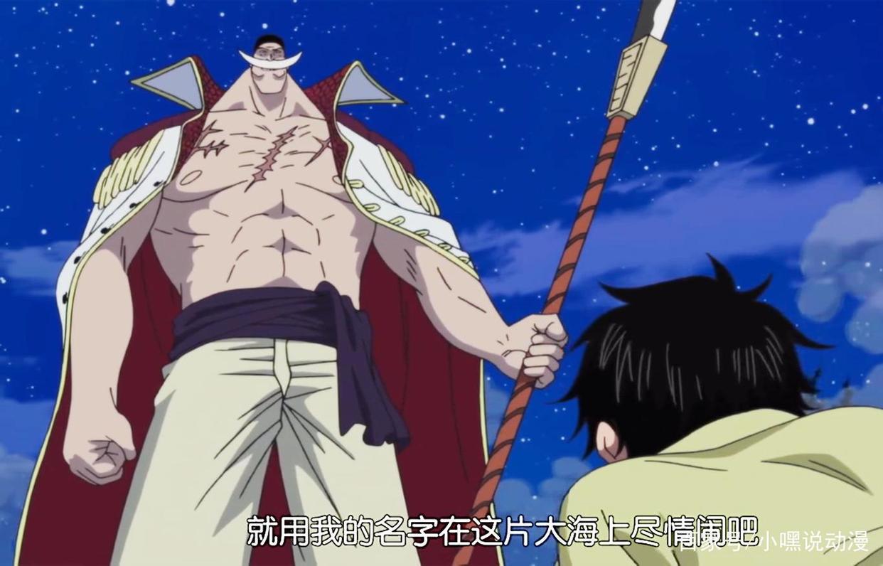 《海贼王》艾斯官方外传开始连载，画风很石纪元，评价两极分化