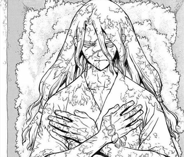 《石纪元》漫画版：七海龙水复活，疤痕消失，狮子王司还有救