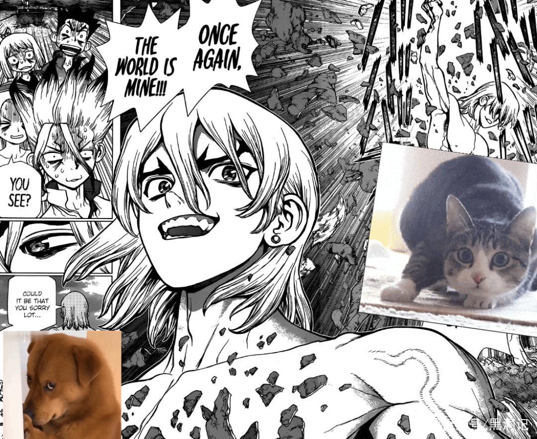 石纪元第三季龙水篇第85集漫画