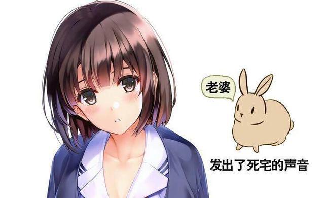 谁抢了我老婆加藤惠？网友毕业论文写感谢女朋友加藤惠判定重复