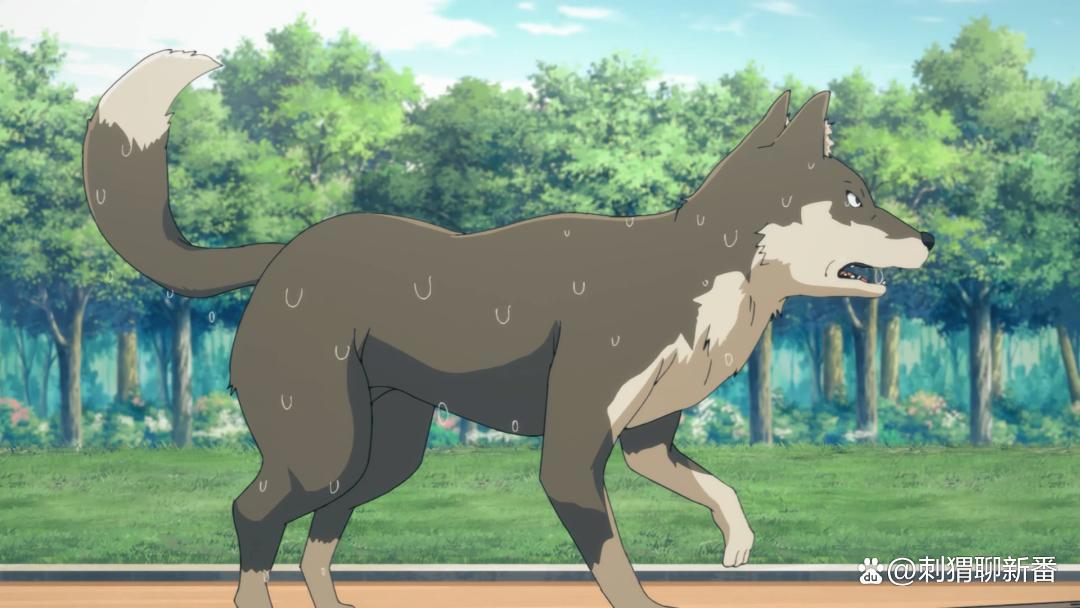 新番点评：惑星公主蜥蜴骑士