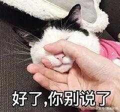 如何享受寒假宅生活？为你推荐休闲时光必看的五部轻松愉快动漫！