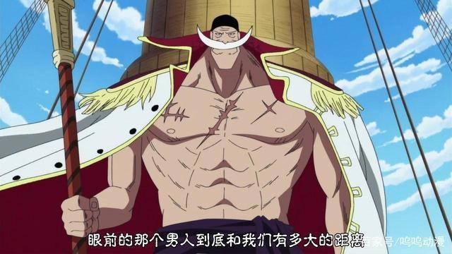 动漫《海贼王》你们对人物都了解多少？